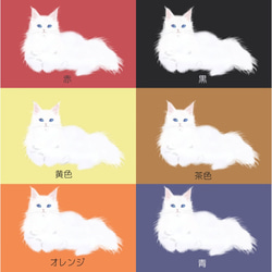 受注生産　猫ちゃんパスケース　メインクーン　12色　　　 7枚目の画像