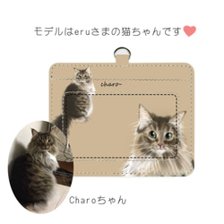 全球僅此一隻 My cat pass case 12 colors Made-to-order 第2張的照片