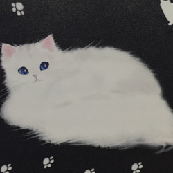 定制貓通行證盒波斯 12 色 第4張的照片