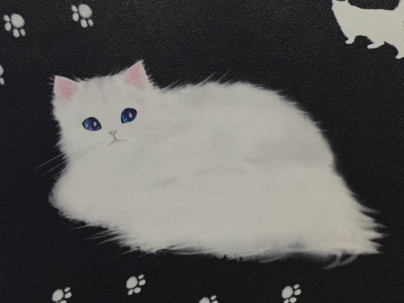 定制貓通行證盒波斯 12 色 第4張的照片