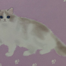 受注生産　猫ちゃんパスケース　ラグドール　12色 3枚目の画像