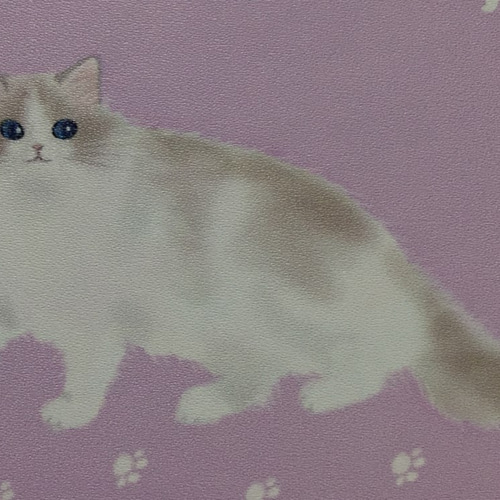 パープル猫 パープル猫 パープル猫 パープル猫様 楽天市場】ライブディオzx