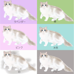 受注生産　猫ちゃんパスケース　ラグドール　12色 6枚目の画像