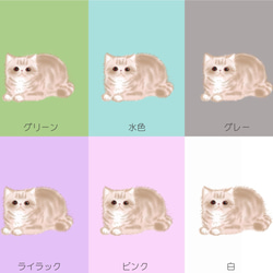 受注生産　猫ちゃんパスケース　エキゾチックショートヘアー　12色　　　 6枚目の画像