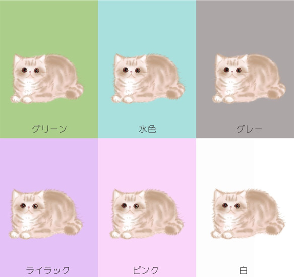 受注生産　猫ちゃんパスケース　エキゾチックショートヘアー　12色　　　 6枚目の画像