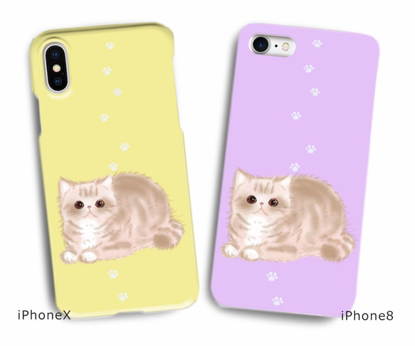 Cat 智能手機外殼異國短毛貓 12 種顏色可定制兼容各種型號 第1張的照片