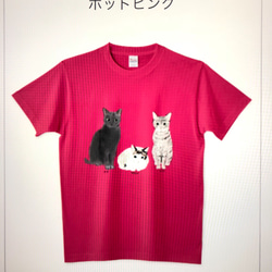 モモさま専用ご注文ページ　うちのこＴシャツ　受注制作 1枚目の画像