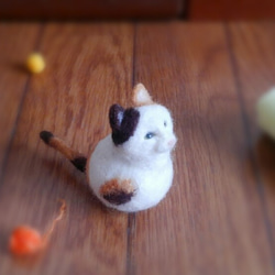 Mihoko貓逃亡【訂購生產】 第6張的照片