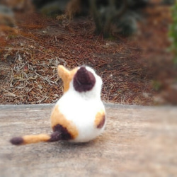 Mihoko貓逃亡【訂購生產】 第8張的照片