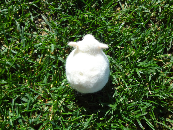 羊的不倒翁 第3張的照片
