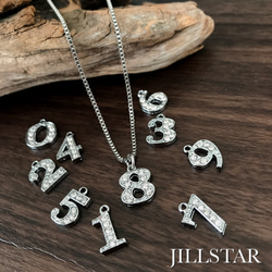 真鍮フェザーペンダントトップオニキスゴローズ好きな方必見です