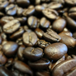 オーガニック コーヒー豆「アイスコーヒー用」200g 3枚目の画像