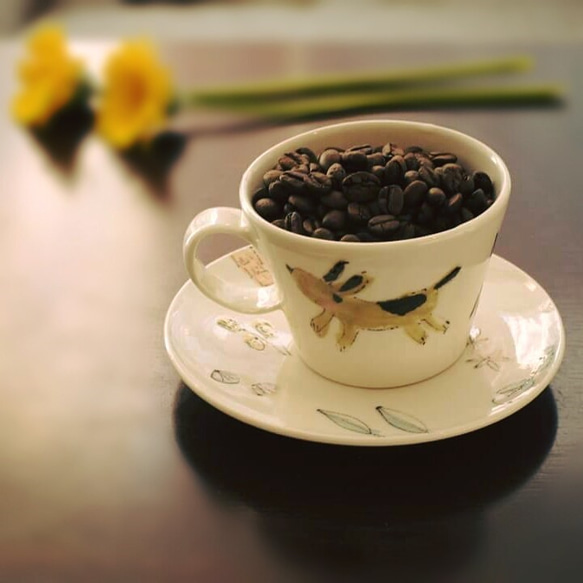 オーガニック コーヒー豆「グァテマラ」100ｇ 1枚目の画像