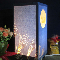 燈塔，“Hakugahara的月光”，神秘的光線的溫暖！ 第4張的照片