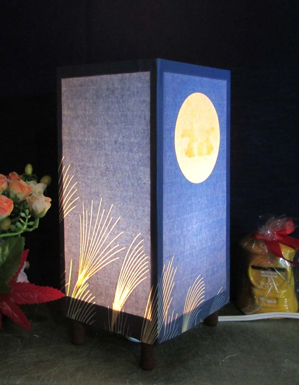 燈塔，“Hakugahara的月光”，神秘的光線的溫暖！ 第6張的照片