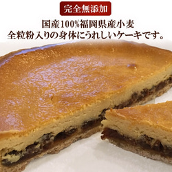 送料無料 ラムレーズンとバターが薫る濃厚ベイクドチーズケーキのタルト 2枚目の画像