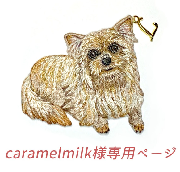 caramelmilk様専用ページ 1枚目の画像