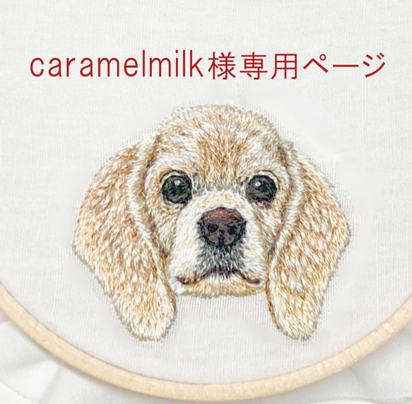 caramelmilk様専用ページ 1枚目の画像