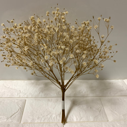 リトルウッズドライフラワー ドライフラワー *mogera* 通販