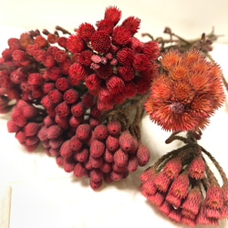 ドライフラワー　パフェ＊レッド ドライフラワー パフェ＊レッド 日暮里】季節のパフェが大人気