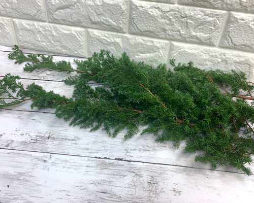 0_d5409a3df68a39d5eecde2e22930