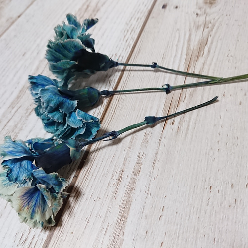 カーネーション ドライフラワー ダークブルー ドライフラワー *mogera