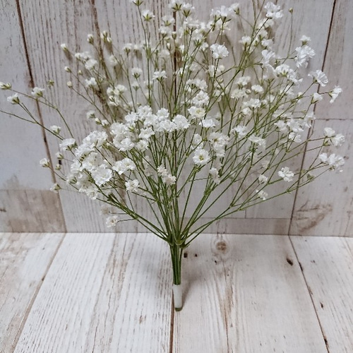 かすみ草 ドライフラワー ホワイト ドライフラワー *mogera* 通販