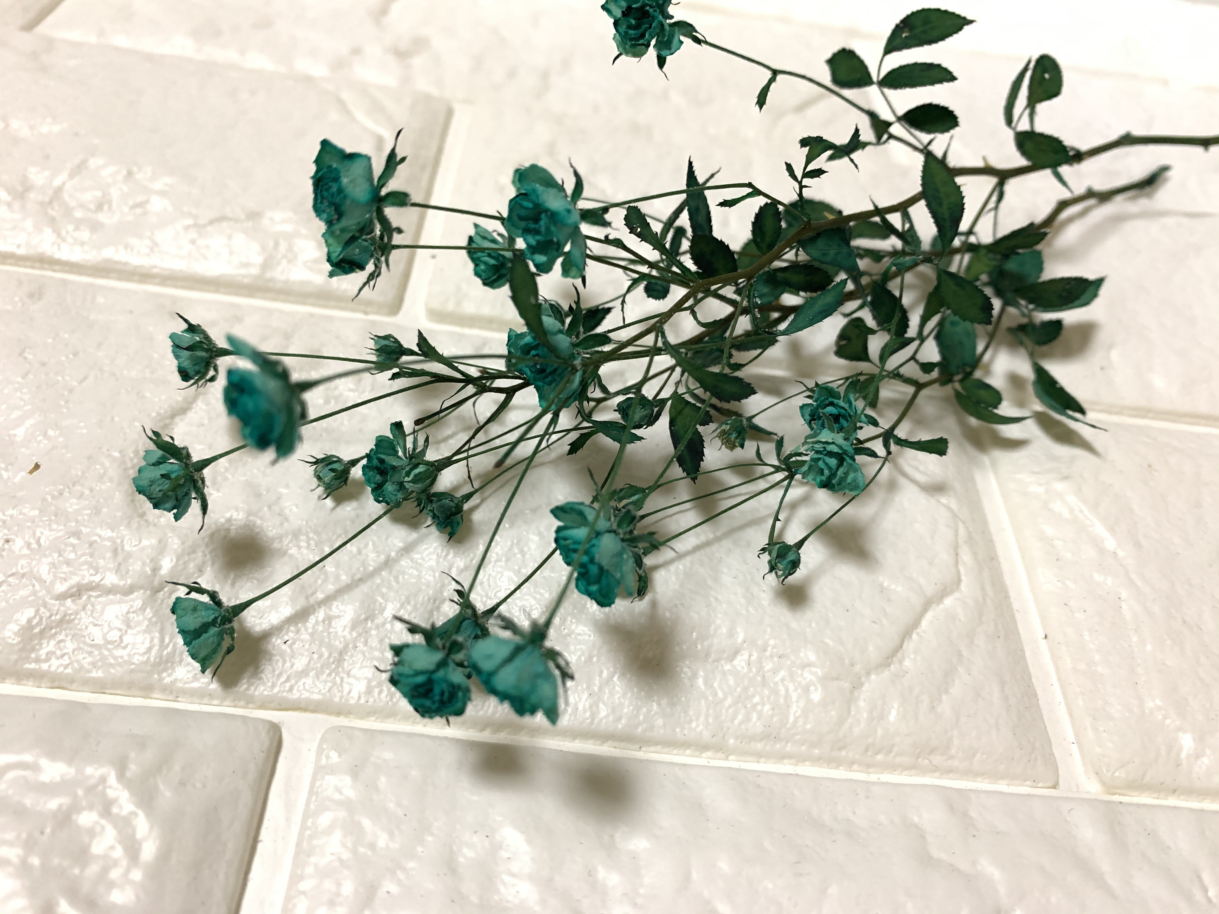 ドライフラワー ドライフラワー【No.29】ドライグラスセット ススキ 千日紅 フェスツカ