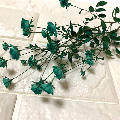 ハンドメイド　花材　ドライフラワー　ホワイトウッズ　薔薇　r-7 ホワイトウッズ ミントドライフラワー ドライフラワー *mogera* 通販