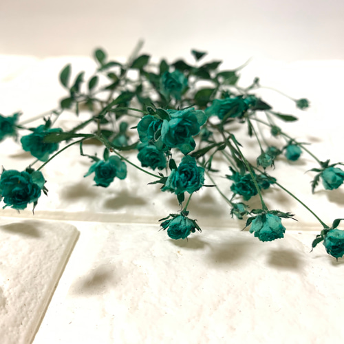 ホワイトウッズ ミントドライフラワー ドライフラワー *mogera