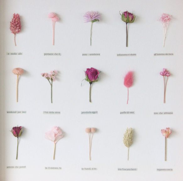 【ピンク】植物標本　ﾎﾞﾀﾆｶﾙﾊﾟﾈﾙ　ＨA-219　ラッピング無料 4枚目の画像