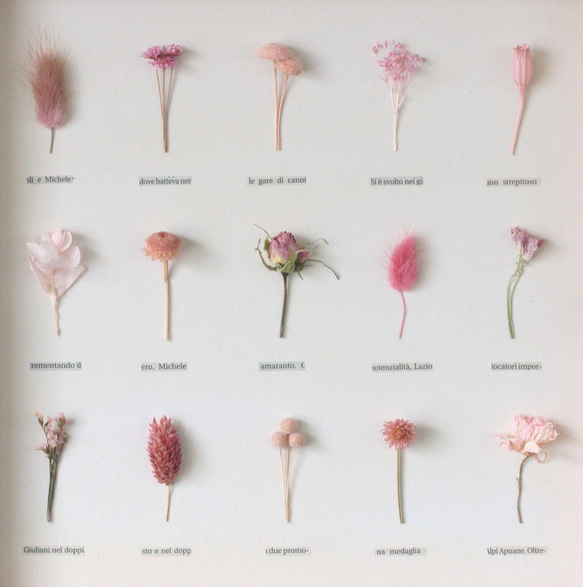 【ピンク】植物標本　ﾎﾞﾀﾆｶﾙﾊﾟﾈﾙ　ＨA-218　ラッピング無料 3枚目の画像