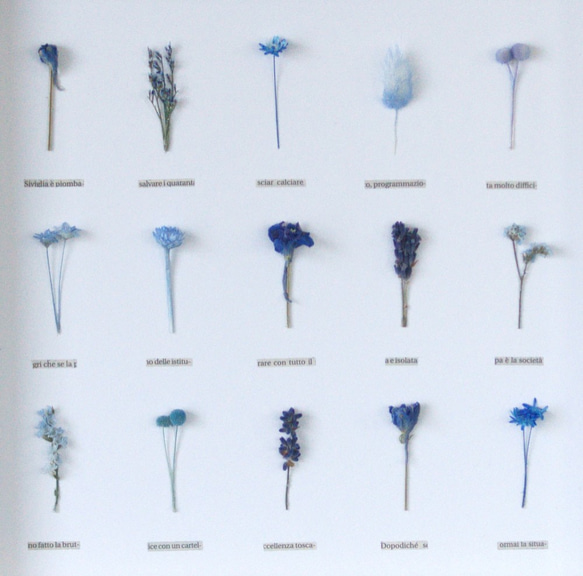 【ブルー】植物標本　ﾎﾞﾀﾆｶﾙﾊﾟﾈﾙ　ＨA-227　 3枚目の画像