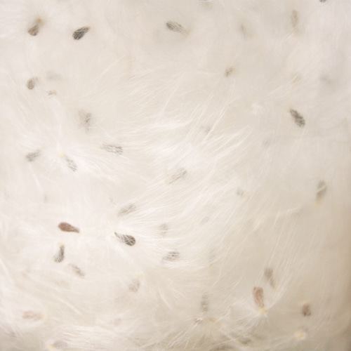 幸せを呼び込むかもしれないケセランパサラン Amazon.co.jp: 幸せを呼ぶケセランパセランケセランパサラン5