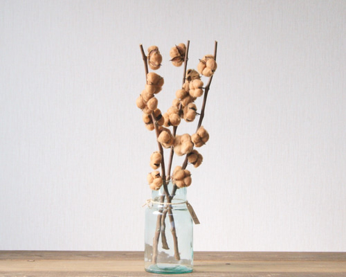 0_a662600d2486950872e8f73ea367