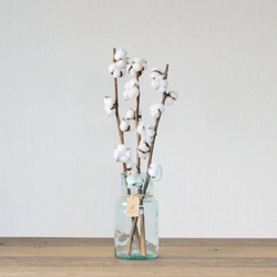 【造花】コットンフラワー白色　７輪　3本セット　65cm 1枚目の画像