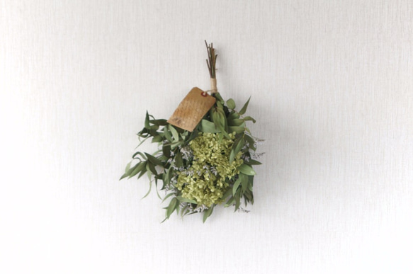 スワッグアナベル S-106 ドライフラワー milwaukie 通販 4393437