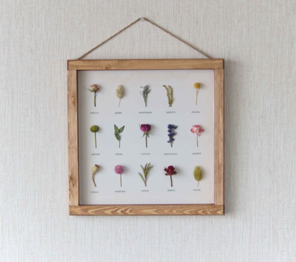 errer フランネルフラワー 土台付 筆記体 樹脂標本 植物標本 アンティーク