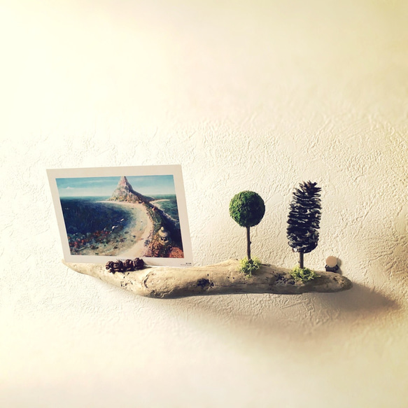 流木とトピアリーのポストカードスタンド 1枚目の画像