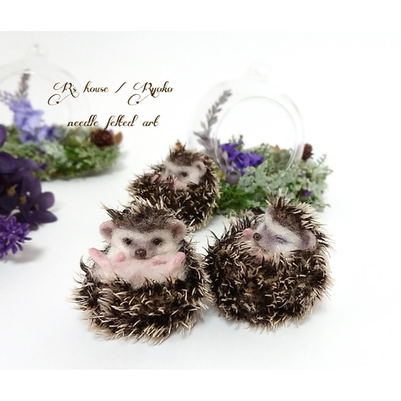 羊毛フェルト人形  『 mini ハリネズミ  ( hedgehog ) / ガラスボール & リース台座付き ⑤ 』 10枚目の画像