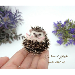 羊毛フェルト人形  『 mini ハリネズミ  ( hedgehog ) / ガラスボール & リース台座付き ⑤ 』 4枚目の画像