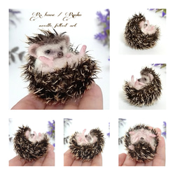 羊毛フェルト人形  『 mini ハリネズミ  ( hedgehog ) / ガラスボール & リース台座付き ⑤ 』 6枚目の画像