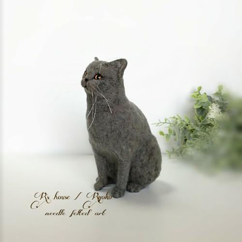 Amazon.co.jp: もたこ 羊毛フェルト猫 はちわれブリティッシュ