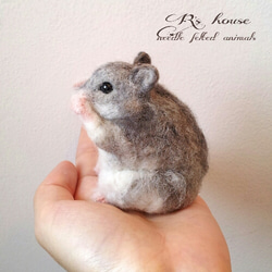 1_dfeaa5a5ef56ffe82036f86416b6