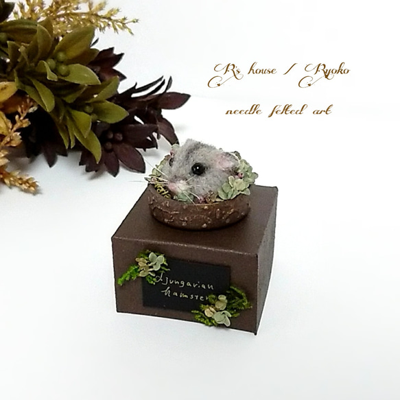 羊毛フェルト置物 ⑩ 『 Potted hamster (鉢ハム) / ジャンガリアンハムスター / ノーマル 』 1枚目の画像