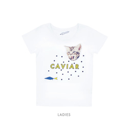 キャビア 猫 レディース Tシャツ 2枚目の画像