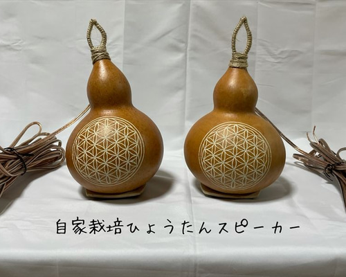 ひょうたんスピーカー キノコ柄 Amazon.co.jp: バード電子 ひょうたんスピーカー EZ-HY1-MONO