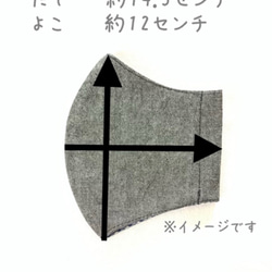 レギュラー,レディースサイズのマスク/2枚セット 4枚目の画像