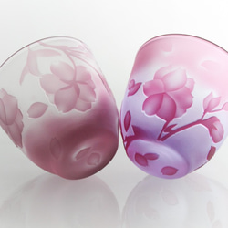 櫻花桂只有2件，彩色玻璃巧克力（清酒套裝）對設置粉紅色 第4張的照片