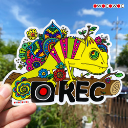 アニマル防水ステッカー♥カメレオン シール・ステッカー owocowac